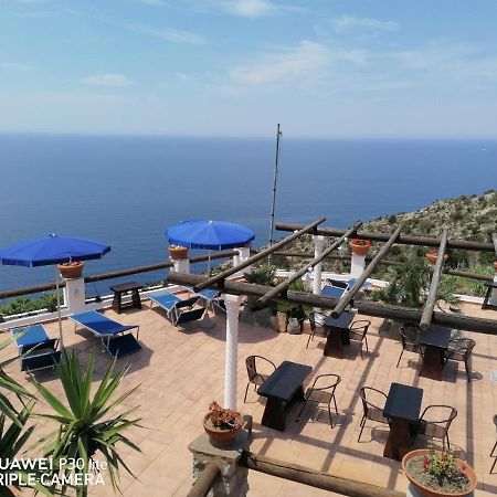 Hotel Punto Azzurro Forio di Ischia Exterior foto