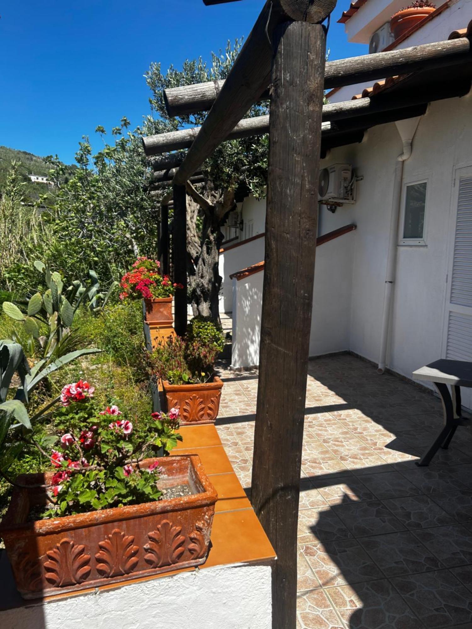Hotel Punto Azzurro Forio di Ischia Exterior foto