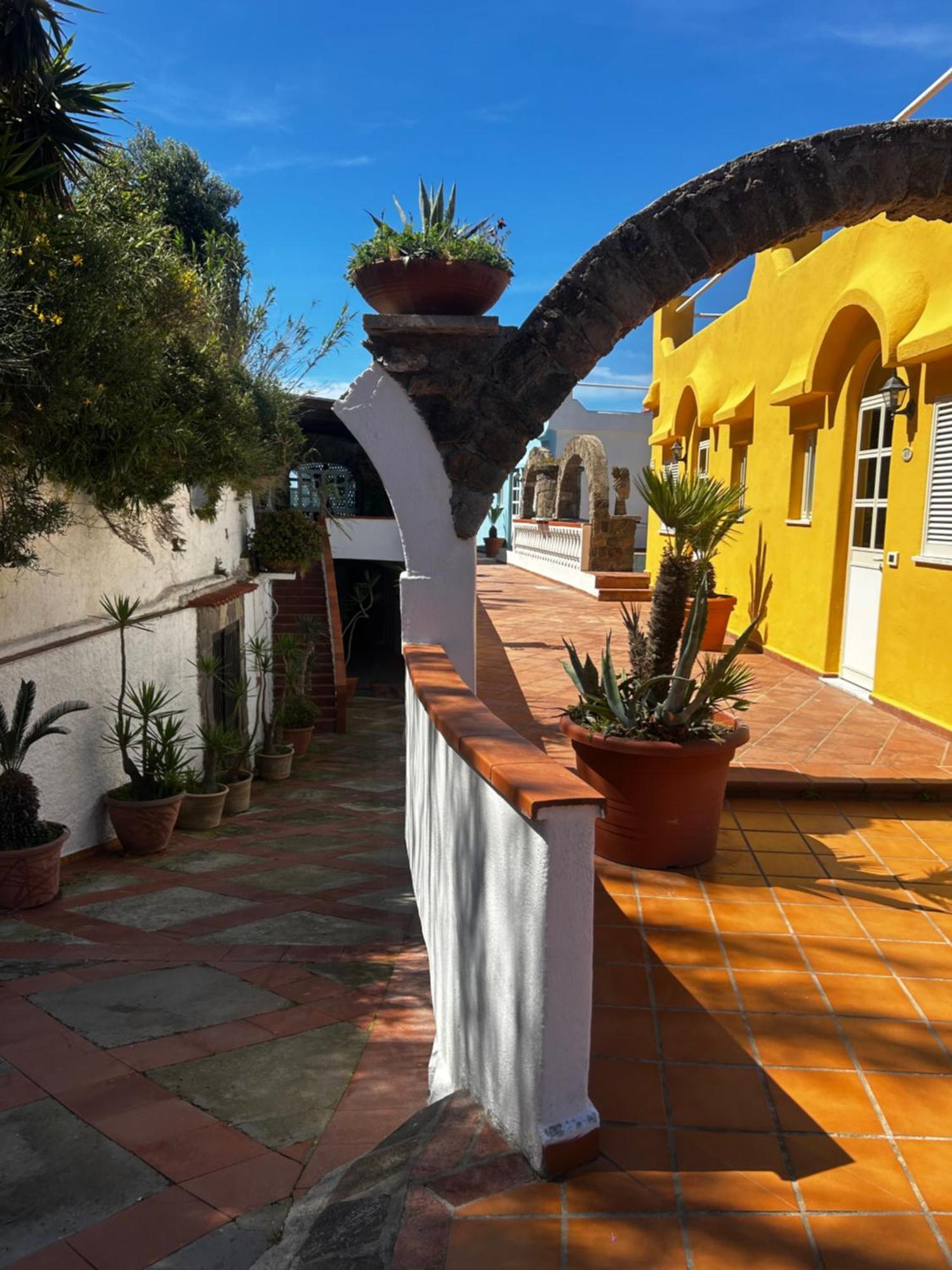 Hotel Punto Azzurro Forio di Ischia Exterior foto